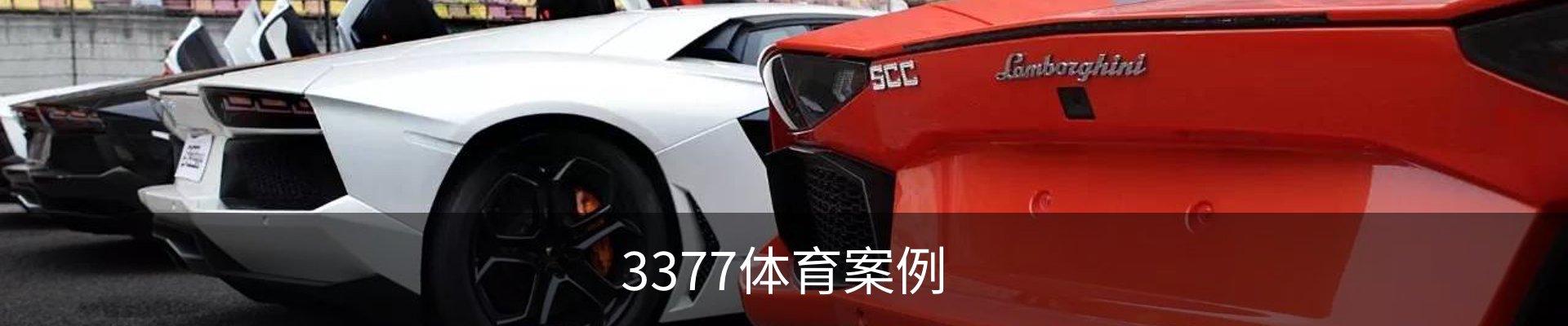 3377体育案例